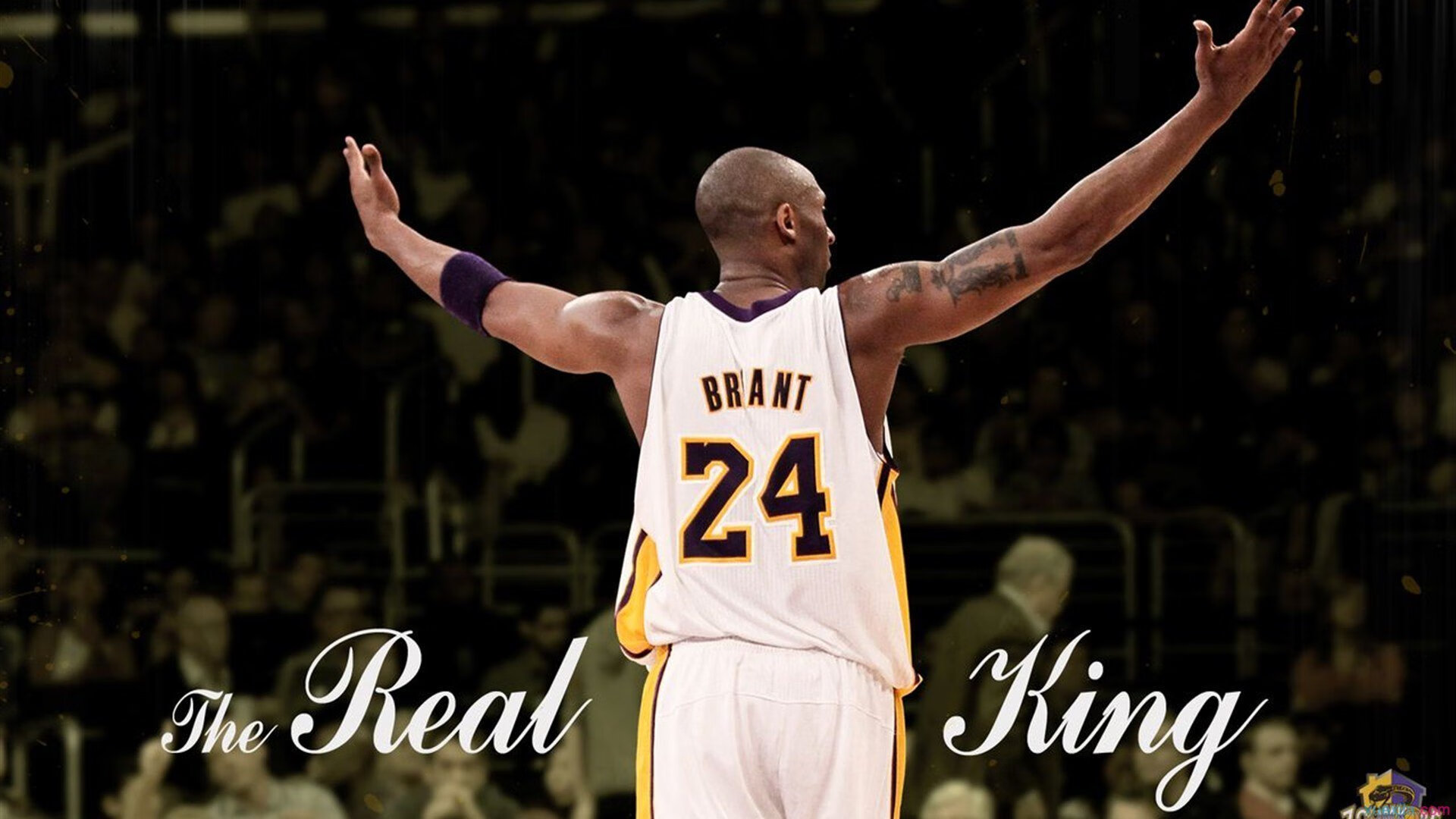 爱游戏平台-儿童青少年篮球嘉年华在上海盛大启动，享受运动乐趣，上海儿童篮球俱乐部